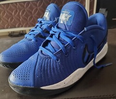 Nike Team Hustle Quick2 GS Running/Basketball Shoes CQ9438-400 Sizec 6Y