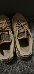 Dunk Low “Teddy Bear” Size 7Y DZ5350-288 Slightly Used No Box