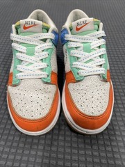 Size 1y Nike Dunk Low “Nike 101” Multi-Color Low Top DX3364-100 Kids Used No Box