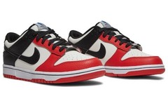 Nike Dunk Low EMB NBA 75th Anniversary Chicago GS DO6288-100