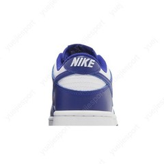 Nike Dunk Low Gs Concord FB9109-106