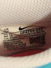 Nike Dunk Low BG – Dusty Cactus/Thunder Blue (HF4794-345) Sneakers (Youth 7)