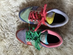 Nike Dunk Low GS Low Top Leather Multicolor Colorblock 6.5 DN0855-600
