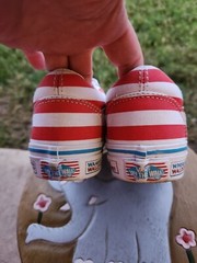 Vans „Where’s Waldo“ PS 1Y