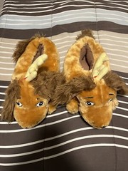 How The Grinch Stole Christmas 2000 Max Dog Kid’s Slippers Size M 7-8 Read Descr