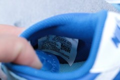Nike Dunk Low TD Argon Blue Toddler Size 9C DV2634-400 Kids Sneakers New
