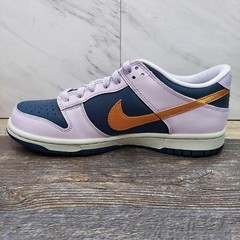 Nike Dunk Low SE Copper Swoosh DX1663-400 Blue Violet Metallic SZ 6.5Y Women’s 8
