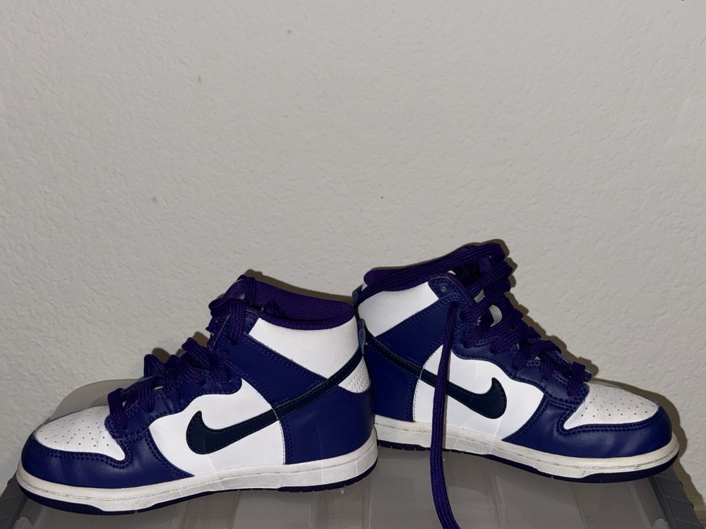 Nike Air Dunk High Electro Purple Kids Size 13c