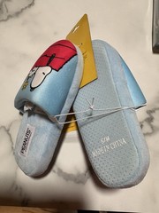 Peanuts Children’s Size S/MSnoopy & Woodstock House Shoes Slippers NWOT