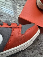 Nike Dunk Low PS Size 3Y College Orange 2006