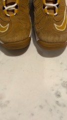 Nike Air Griffey Max 1 Wheat size 7y