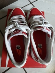 Champion Red Dunks Size 7.0