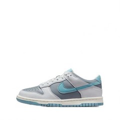 Nike Dunk Low Turqoise Grade School Low Top Athletic Sneakers New FB9109-008