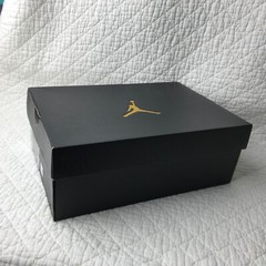 Nike Air Jordan 1 MID (GS) Big Kids Shoes SZ 5.5Y Hologram DR9495-001