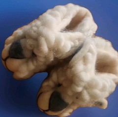 New Kids Shirley Sheep Slippers Size around 6 -12 Month Handmade in Nepal