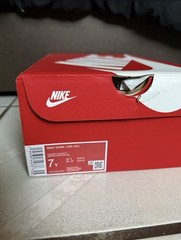 Champion Red Dunks Size 7.0