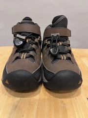 Little Kids‘ Targhee IV Waterproof Hiking Boot Size 8