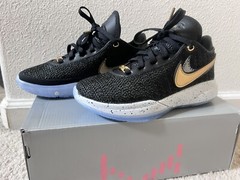 Grade school Lebron XX sz4.5