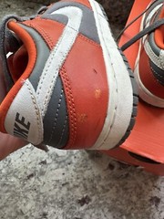 Nike Dunk Low PS Size 3Y College Orange 2006