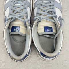 Nike Dunk Low Next Nature GS „Blue Whisper Iridescent“ Kids Size 5.5 FJ4668-400