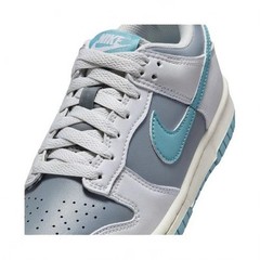 Nike Dunk Low Turqoise Grade School Low Top Athletic Sneakers New FB9109-008