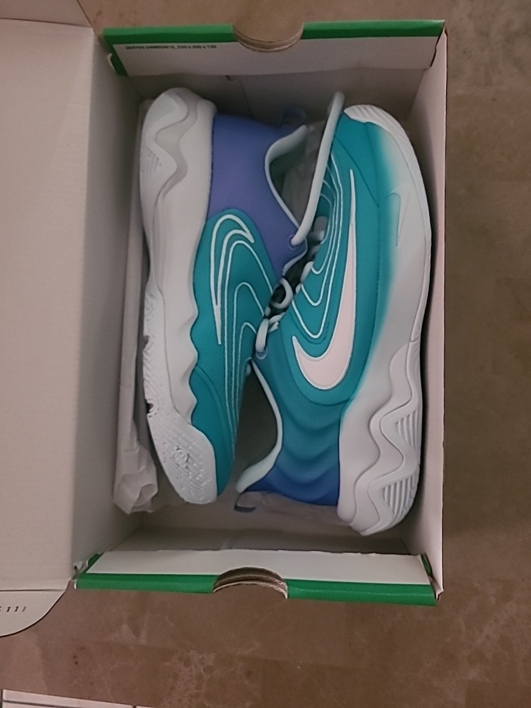 Nike Giannis Immortality 4 GS Size 7Youth 7y FZ6734-300 Dusty Cactus/Blue/…