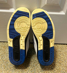 Jordan 2 Low Royal Blue