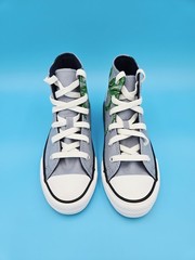 Converse 671611F CTAS Hi Blue Slate/Midnigh Dinosaur Print Junior unisex #F6