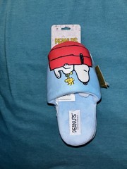 Peanuts Children’s Size S Snoopy & Woodstock House Shoes Slippers NWT