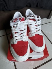 Champion Red Dunks Size 7.0