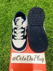 Nike Dunk Low NBA 75th Anniversary Blue White TD Multi Sizes DC9562-001