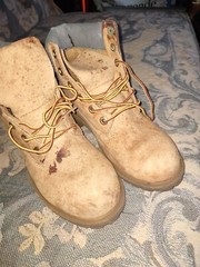 TIMBERLAND Classic 6″ Junior Waterproof Boots /Wheat Nubuck (12909M), Size 5.5