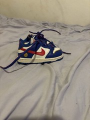 Nike Dunk Low Next Nature TD „Superhero“ toddler Shoes