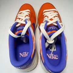 Nike Dunk Low Everything You Need GS Size 5 Fits Woman’s 6.5 FN0600 801