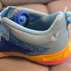 Nike LeBron 18 Low Space Jam Wile E vs Roadrunner Kids Shoes DJ3761-401 Size 2Y