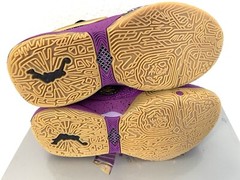 Nike LeBron XX SE Vivid Purple/Metallic Gold FD0207-500 Size US 5.5Y NEW