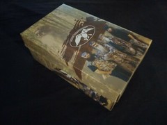 Size 2 Duck Commander GUM-BO Canvas slip-on shoes, featuring REALTREE MAX-4 camo