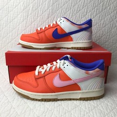 Nike Dunk Low SE (GS) Shoes Youth kids SZ 7Y “Everything You Need “ FN0600-801