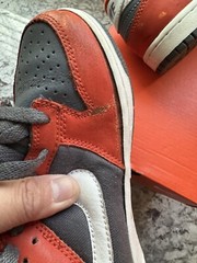 Nike Dunk Low PS Size 3Y College Orange 2006