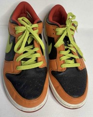 Nike Dunk Low GS Orange Blaze Cactus Shoes GS Size 7Y Women’s 8.5 310569-032