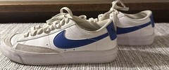 Nike Bruin React SB Summit White Signal Blue (CJ1661-100) Size 4/5Y