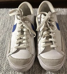 Nike Bruin React SB Summit White Signal Blue (CJ1661-100) Size 4/5Y