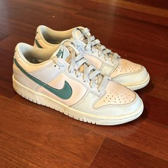 Nike Dunk Low (GS) FD1232-002 Grey Mineral Teal Blue Pink Size 6 Y