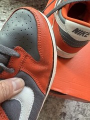 Nike Dunk Low PS Size 3Y College Orange 2006