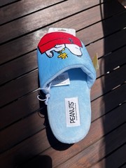 Peanuts Children’s Size Small Medium Snoopy & Woodstock House Shoes Slippers NWT