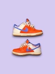 Nike Dunk Low Everything You Need GS Women’s Size 5 FN0600 801