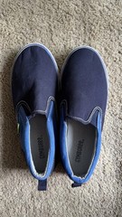 Gymboree Canvas Slip on Skater sneakers Loafers Size 2