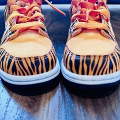 Nike Dunk Low Next Nature Tiger Stripes Youth Size 1.5Y DZ5633-800
