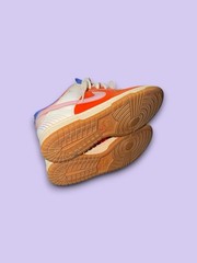 Nike Dunk Low Everything You Need GS Women’s Size 5 FN0600 801
