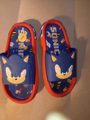 Sonic the Hedgehog Flip Flops